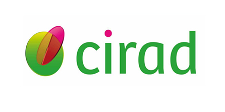 Cirad