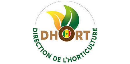 Dhort